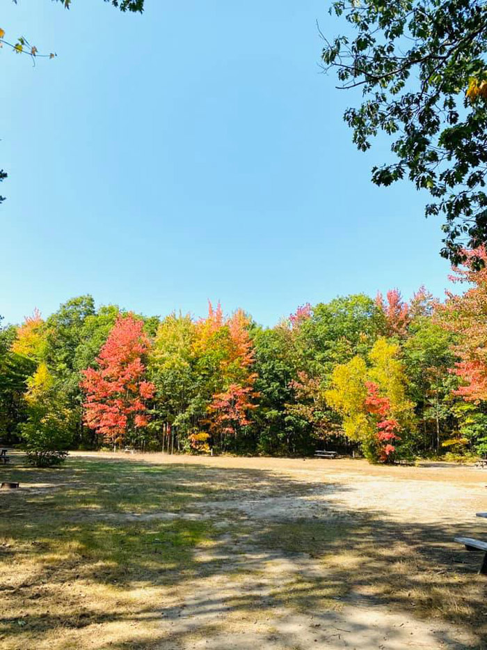 Stadig Campground - Our Campground is surrounded by nature's beauty!